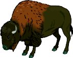 BUFFALO.WMF