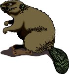 BEAVER.WMF