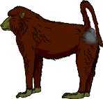 BABOON.WMF
