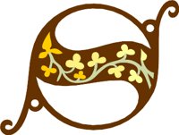 SBS1.WMF