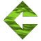 6G5DIARL.GIF