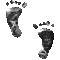 67GFEETU.GIF