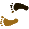 6EFFEETL.GIF
