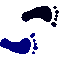 6ECFEETR.GIF