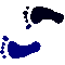 6ECFEETL.GIF