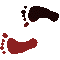 6E0FEETL.GIF