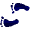 6GCFEETL.GIF
