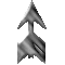 69GWINGU.GIF
