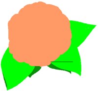 CAMELLIA.PCT