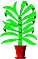 CANEPLNT.PCT