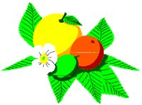 CITRUS.PCT