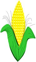 CORN1.PCT