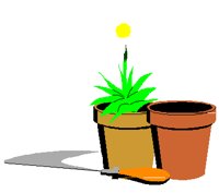 FLWRPOTS.PCT
