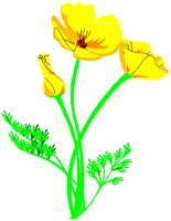 GPOPPY.PCT