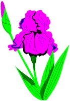 IRIS.PCT