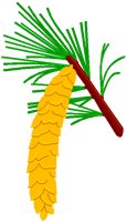 PINECONE.PCT