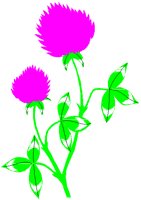 RCLOVER.PCT
