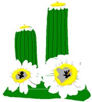 SCACTUS.PCT