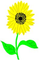 SUNFLOWR.PCT