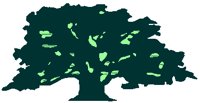 TREE1.PCT