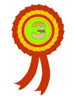 3PRIZE.PCT