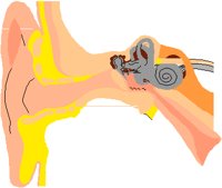 EAR.PCT