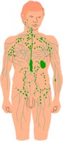 ENDOCRN.PCT