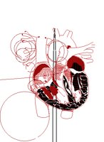 HEART2.PCT
