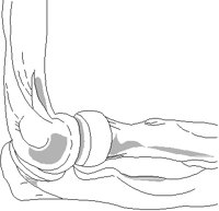 KNEE.PCT