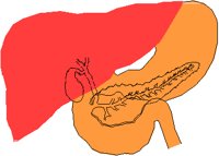 STOMACH.PCT