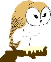 BARNOWL.PCT