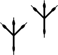 BIRD.PCT