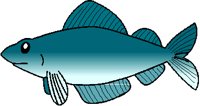 BLUEFISH.PCT
