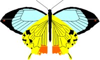 BTTRFLY3.PCT