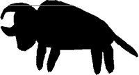 BULL2.PCT
