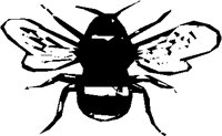 BUMBLE.PCT