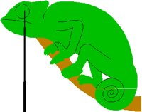 CAMELION.PCT