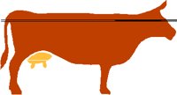 COW.PCT