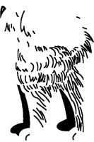 DOG2.PCT