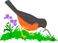 EARLBIRD.PCT