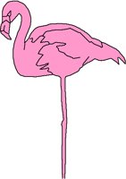 FLAMINGO.PCT