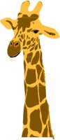 GIRAFFE.PCT