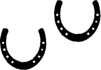HORSHOE.PCT