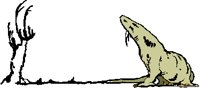 LIZARD.PCT