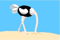 OSTRICH.PCT