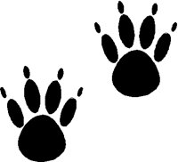 PAWS.PCT