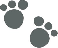 PAWS2.PCT