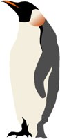 PENGUIN.PCT