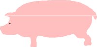 PIG.PCT