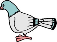 PIGEON.PCT